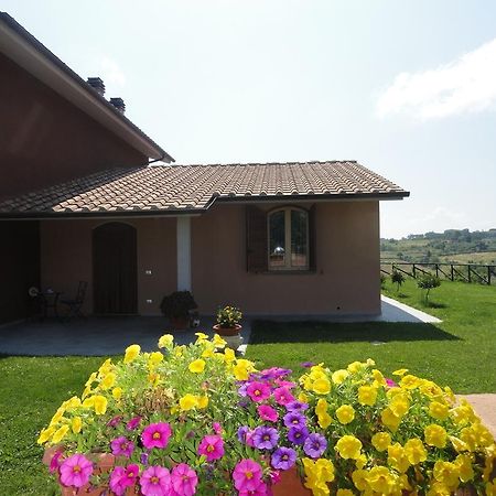 Appartement Poggio Novello à Peccioli Extérieur photo